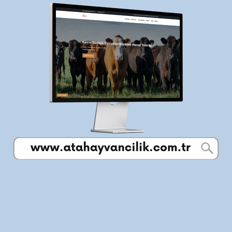 Ata Hayvancılık